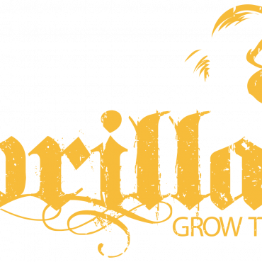 Gorilla Grow