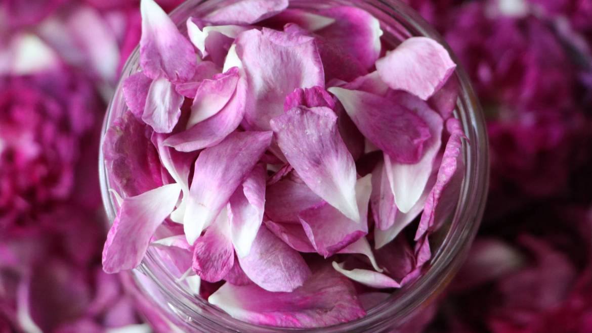 What Is A Rose Blunt And How Do I Roll One?