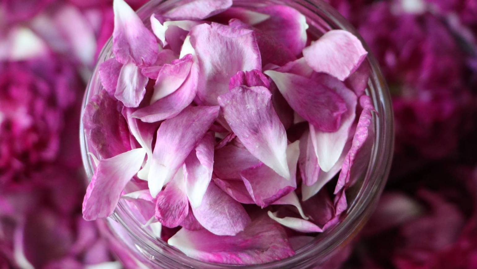 What Is A Rose Blunt And How Do I Roll One?