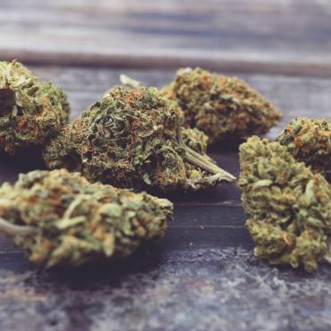 cooking with cannabis