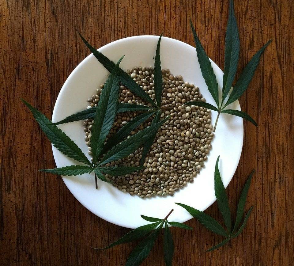 Seeds