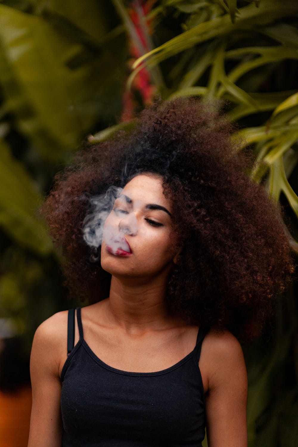 Weed