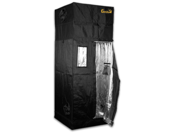 How Many Weed Plants In a 2×4 Grow Tent