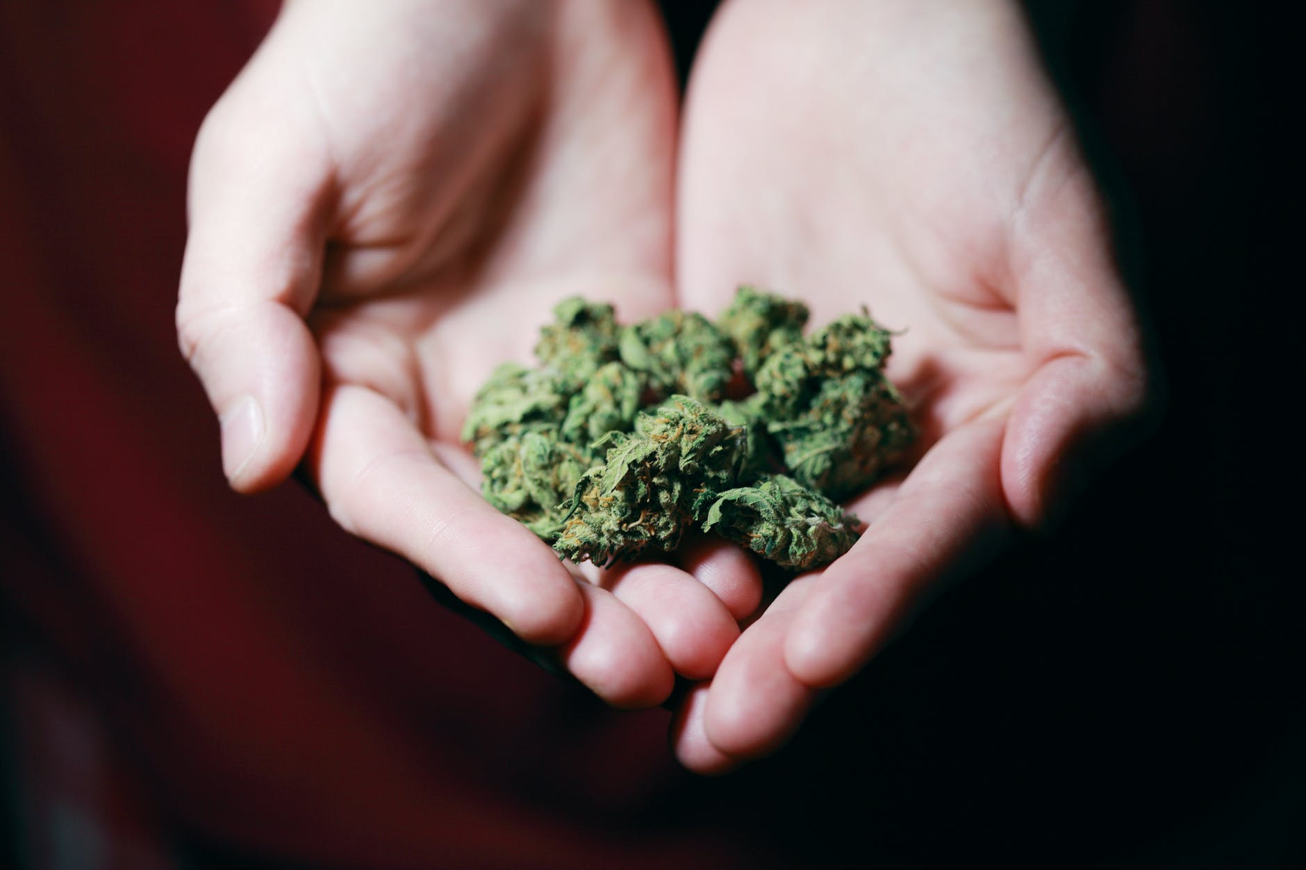 Medicinal Cannabis Western Australia Medicinal Cannabis Western Australia