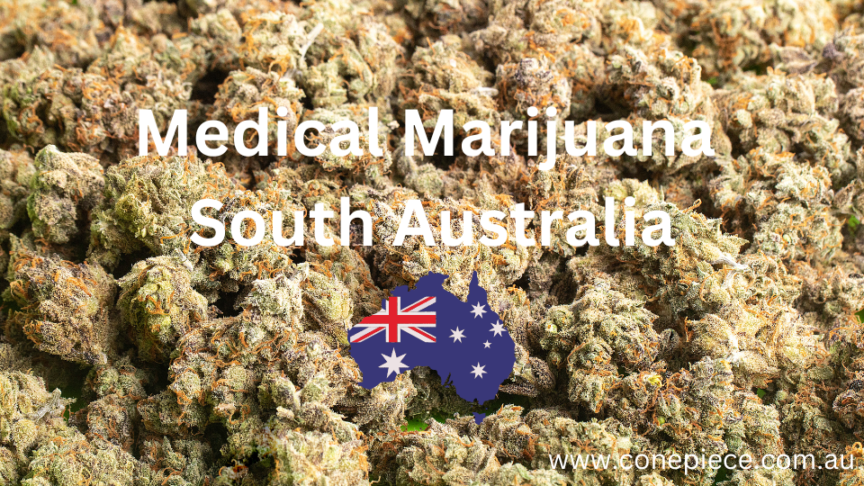 Medical Marijuana South Australia Under Certain Conditions