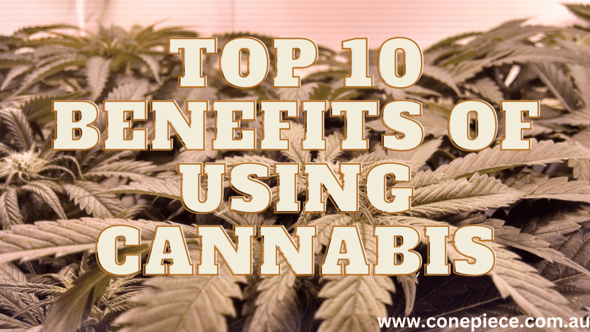 Top 10 Benefits of Using Cannabis