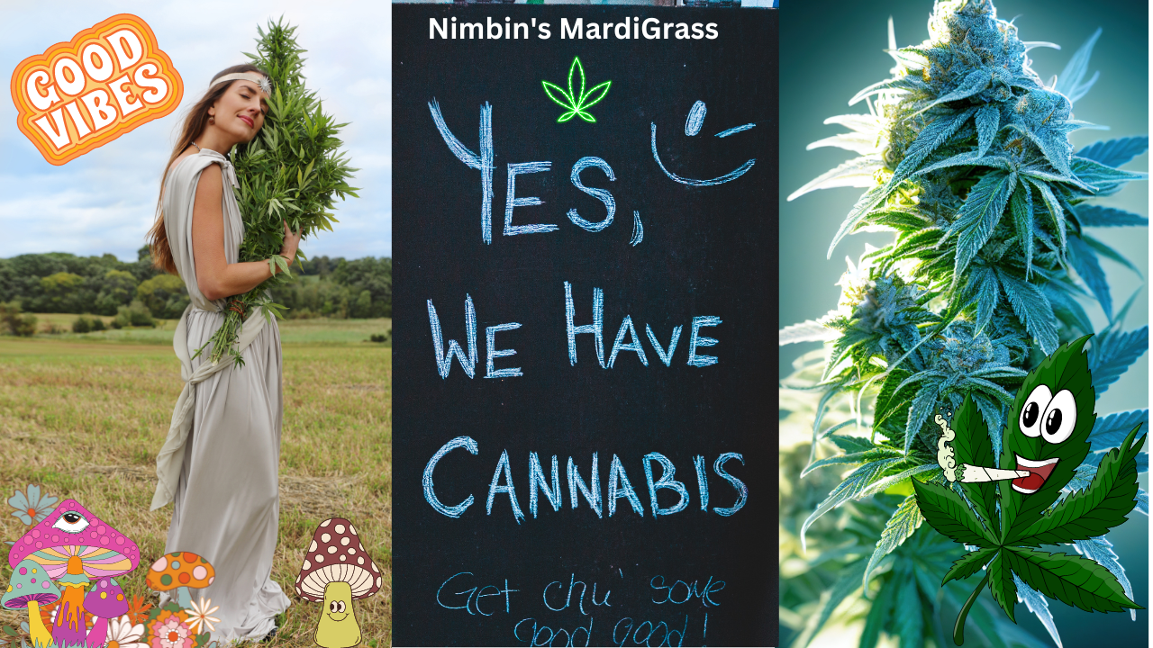 Mardi Grass Nimbin