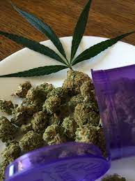 How Cannabis Became Illegal