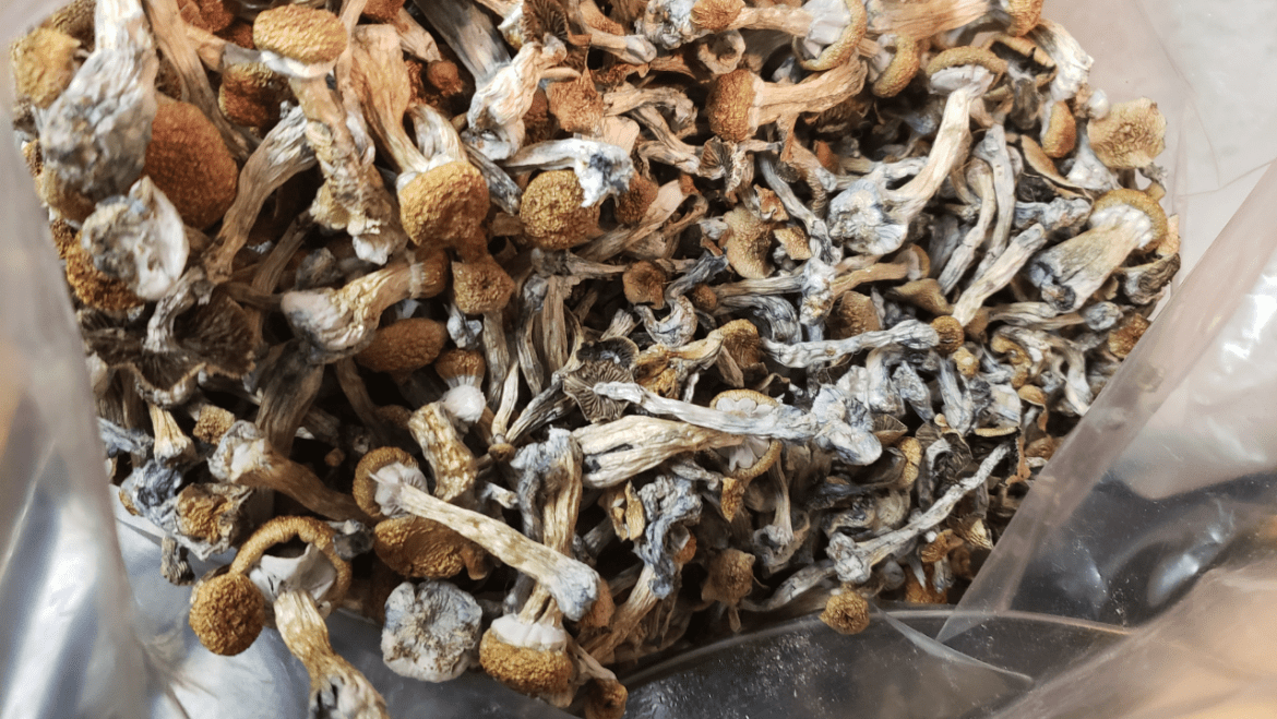 Magic Mushrooms And Depression