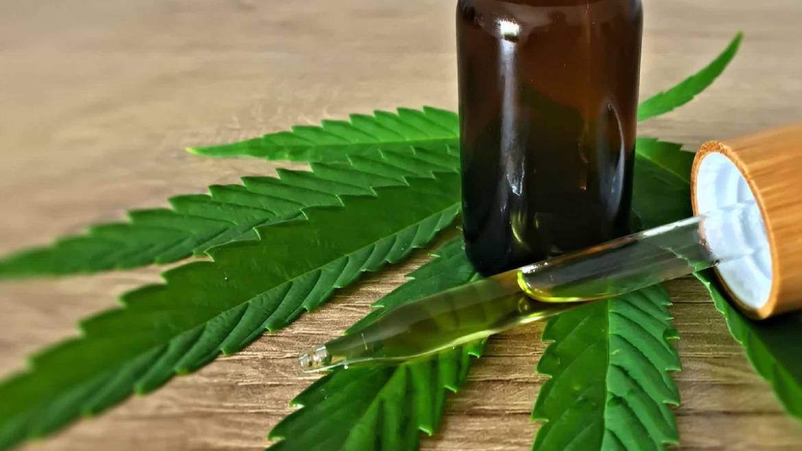 Will Cannabis Stock Ever Recover