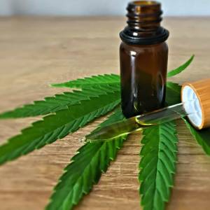 will cannabis stock ever recover will cannabis stock ever recover