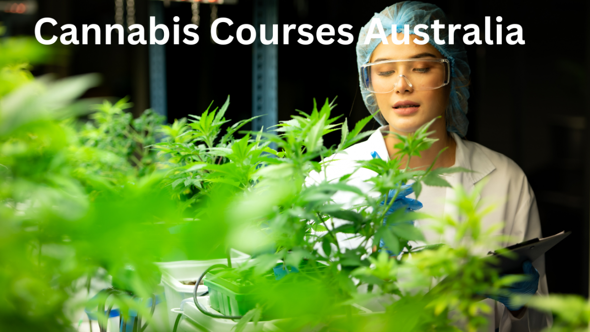 Cannabis Courses Australia
