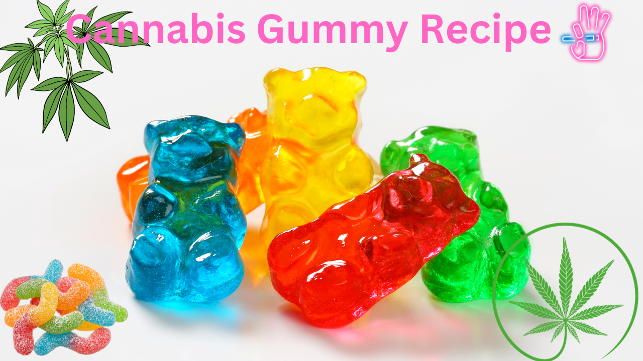 Cannabis Gummy Recipe Chewy Delights With Every Bite