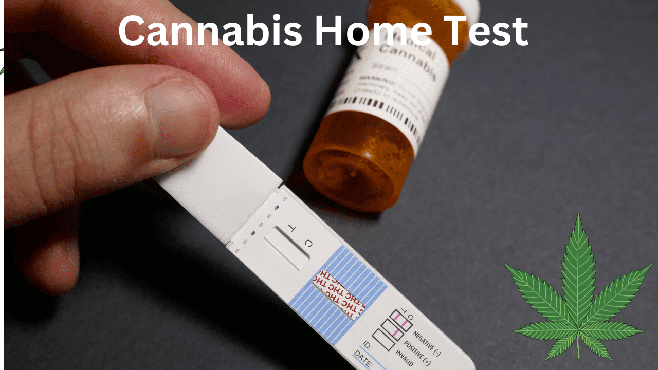 Cannabis Home Test Let's chat about how these little kits