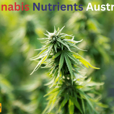 Cannabis Nutrients Australia