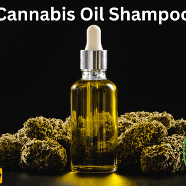 Cannabis Oil Shampoo