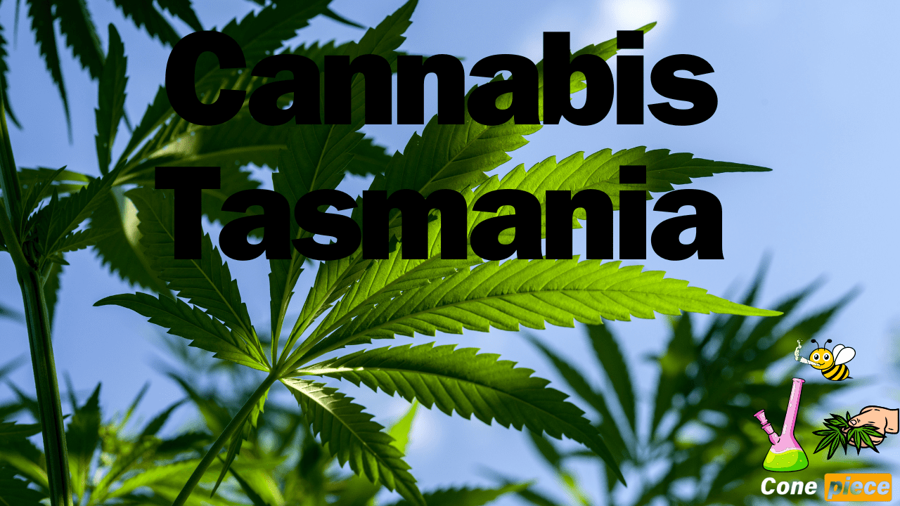 Cannabis Tasmania