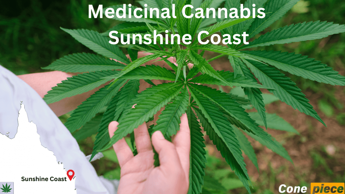 Medicinal Cannabis Sunshine Coast