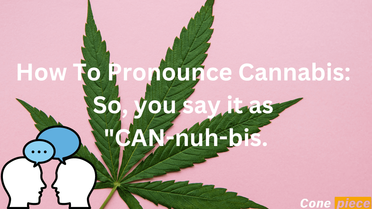 How To Pronounce Cannabis The Correct Pronunciation