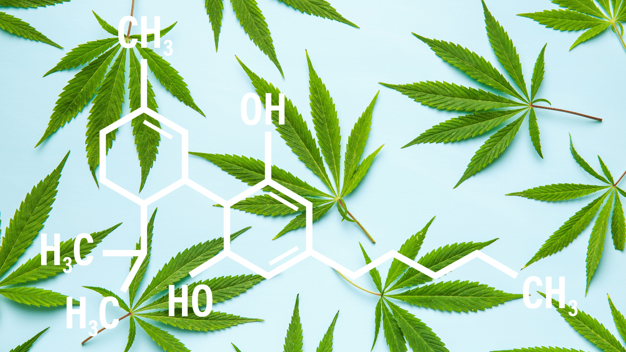 Can Cannabis Help
