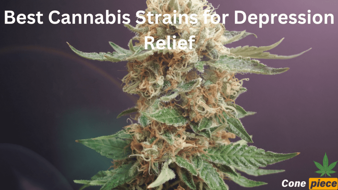 Best Cannabis Strains for Depression Relief